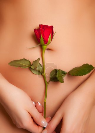 Nude caucasian woman holding red rose