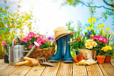 Gardening tools and flowers on the terrace