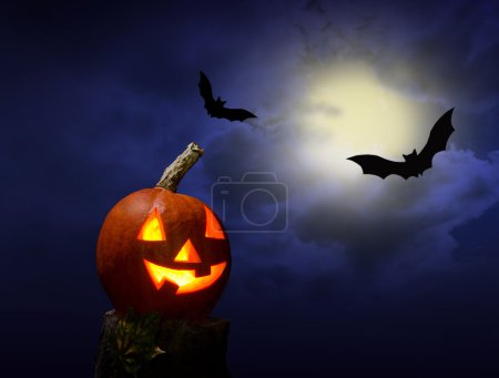 halloween pumhkin and bats