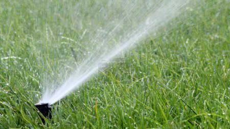 Garden Irrigation Sprinkler watering lawn