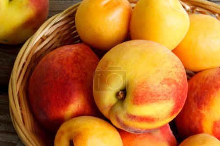Juicy nectarines and apricots in basket