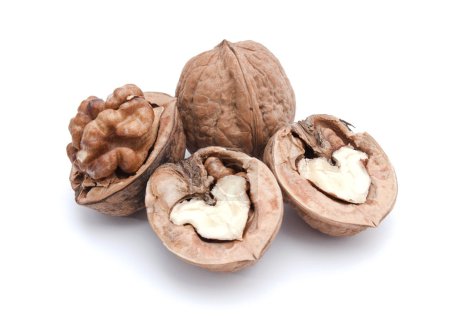 Four walnuts