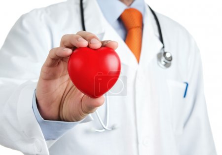 Red rubber heart in doctors hand