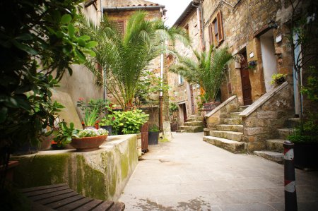 Typical italian narrow street