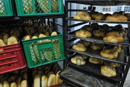 Bread factory production