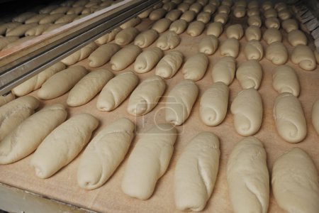 Bread factory production