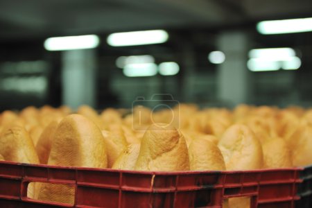 Bread factory production