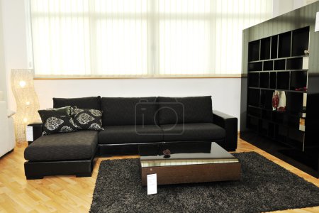 Modern livingroom indoor