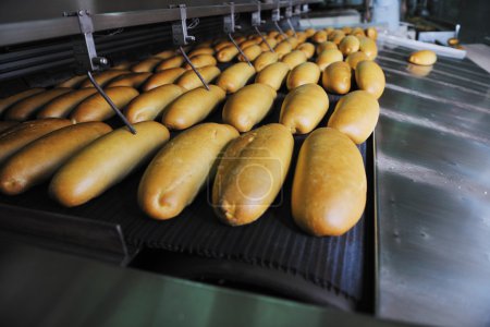 Bread factory production