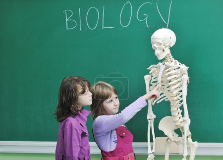 Learn biology in school