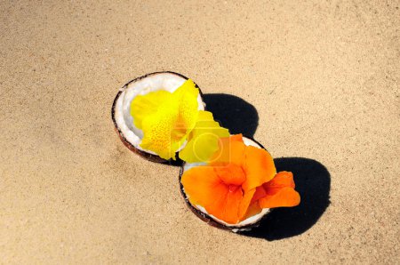 Coconut with tropical flower on exotic beach