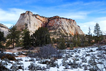 Zion National Park with snow