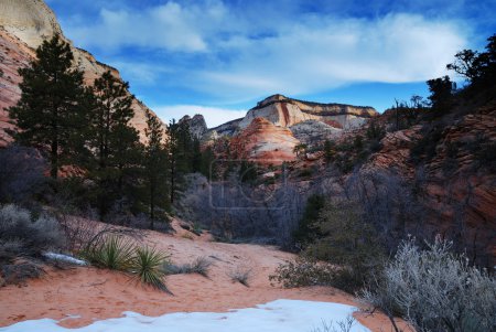 Zion National Park with snow in winter