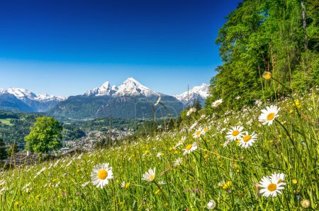 Beautiful mountain landscape in the Alps with fresh green mountain pastures