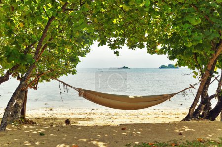 hammock on a tropical beach