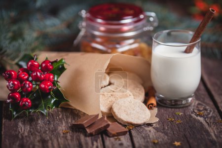 Cookies and milk for Santa Claus