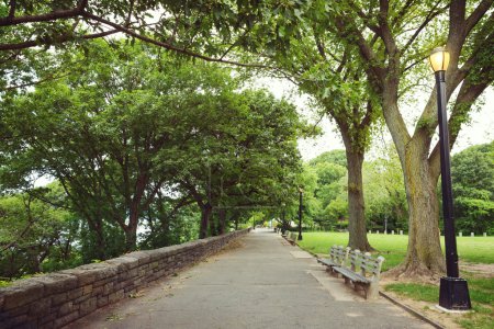 Fort Tryon park