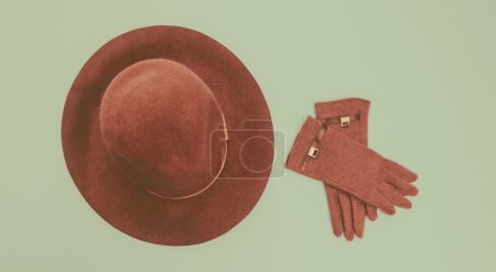 Women's Accessories: felt hat and gloves. vintage style