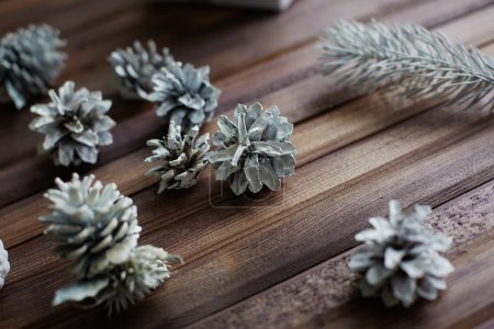 Decorative silver cones and conifer