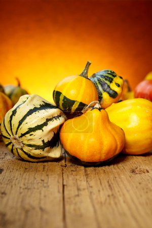Pumpkins and squashes on wooden table