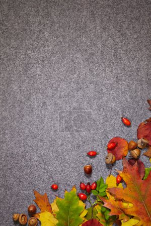Autumn abstract grey background