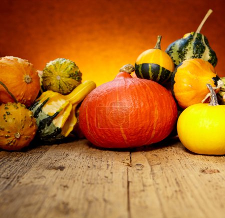 Pumpkins and squashes on wooden table