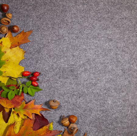 Autumn abstract grey background