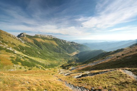 Valley in the Carpathian Mountains