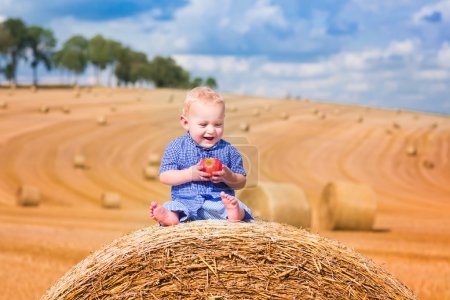 Little boy on a hay bale
