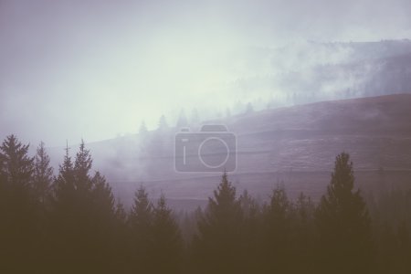 Morning fog on the mountain hills