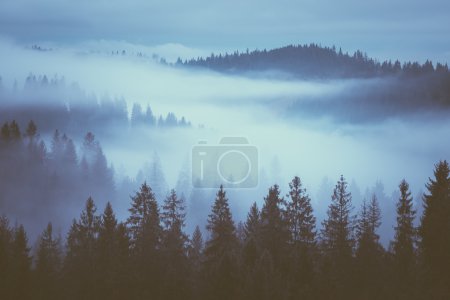 Fog on the mountain slopes