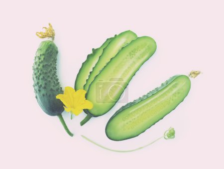 Fresh cucumbers on a white background. Color toning. Low contras