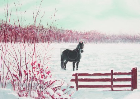 Frisian horse in a snowy meadow