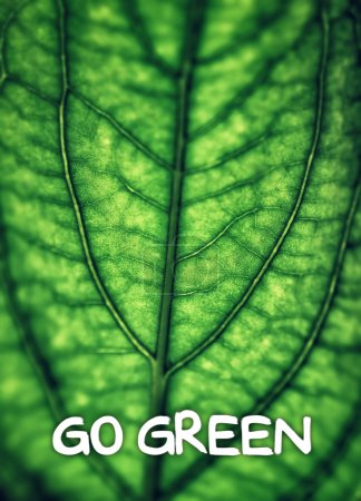 Green leaf background