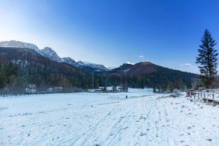 Snowy valley in Tatra mountains