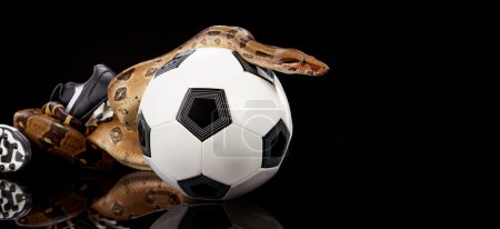 Football snake