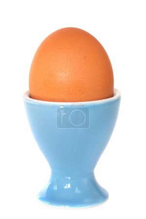 Brown Egg in Egg Cup