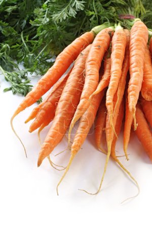 Bunch of Baby Carrots
