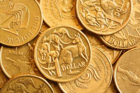 Background of Australian One Dollar Coins