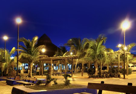 Puerto Morelos night palm trees Mayan riviera