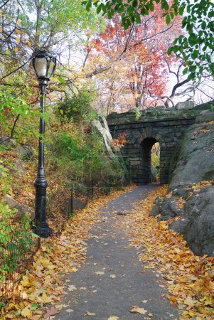 New York City Central park Stone bridge