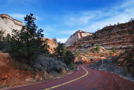 Zion National Park in early morning