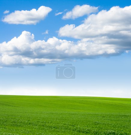 Landscape grass sky