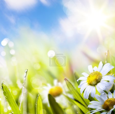 Art abstract background springr flower in grass on sun sky