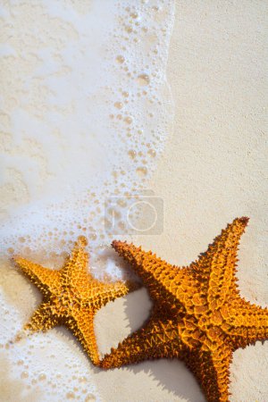 Art beautiful starfish on a beach sand with wave