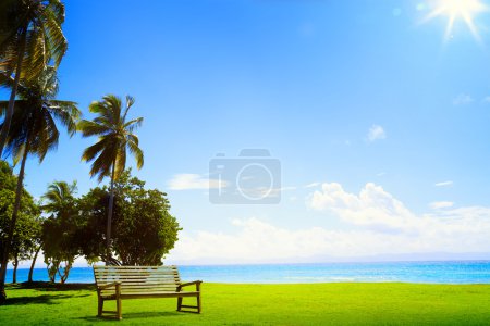 art Desert tropical island with palm tree and chaise lounge
