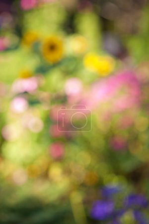 Defocused flower garden