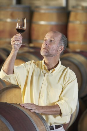 man inspecting quality of wine