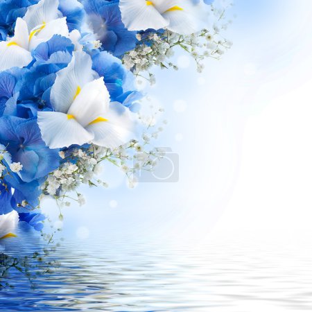 Flowers and butterfly, blue hydrangeas and white irises