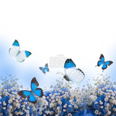 Flowers in a bouquet, blue hydrangeas and butterfly